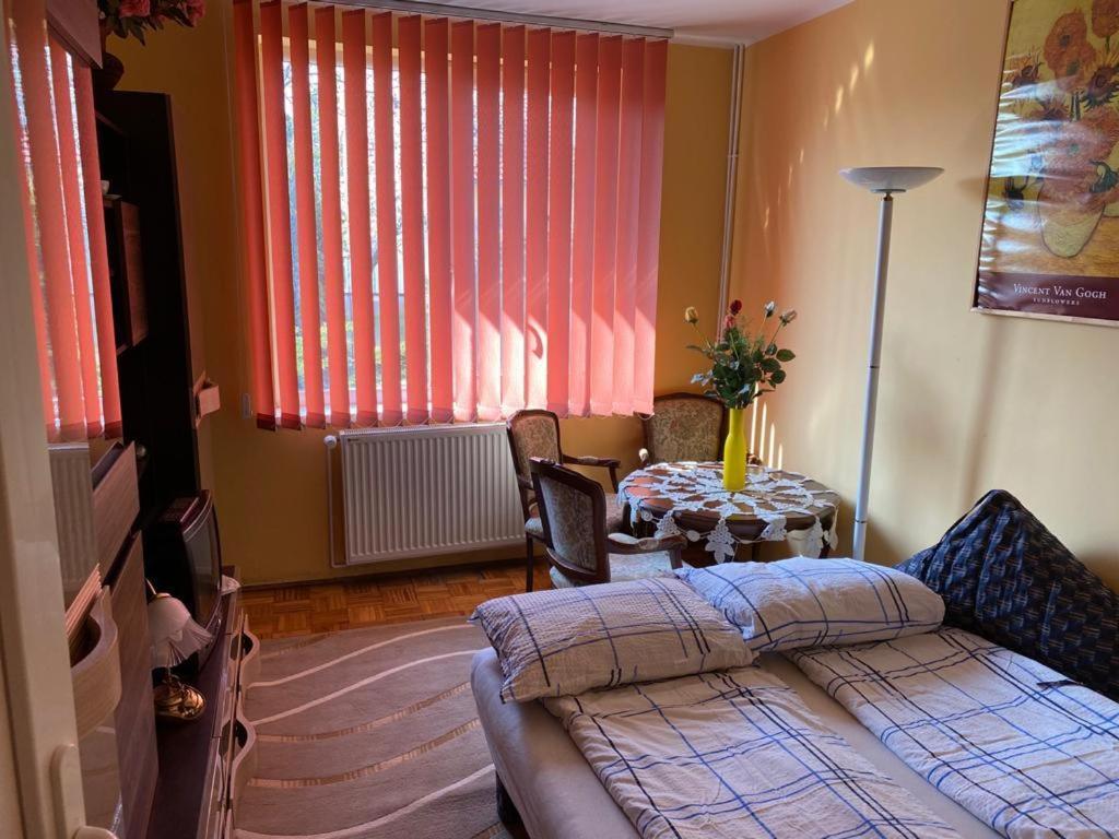 Villa Ani Hajdúszoboszló Exteriör bild